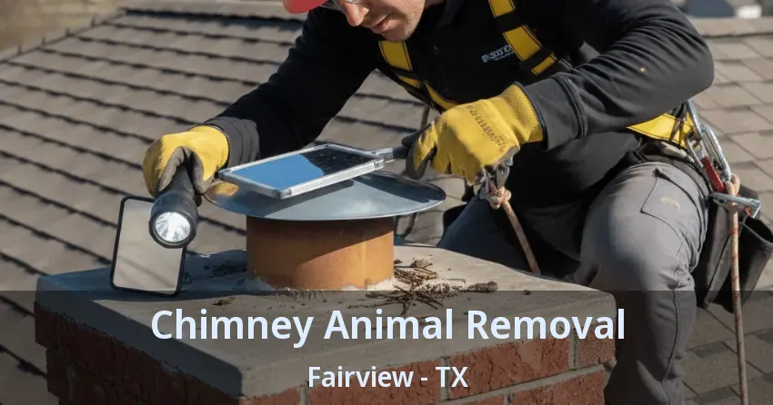 Chimney Animal Removal Fairview - TX