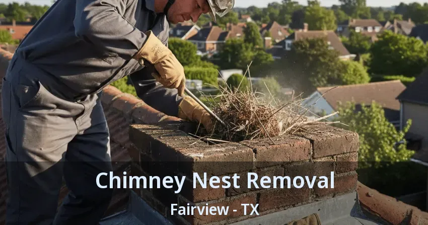 Chimney Nest Removal Fairview - TX