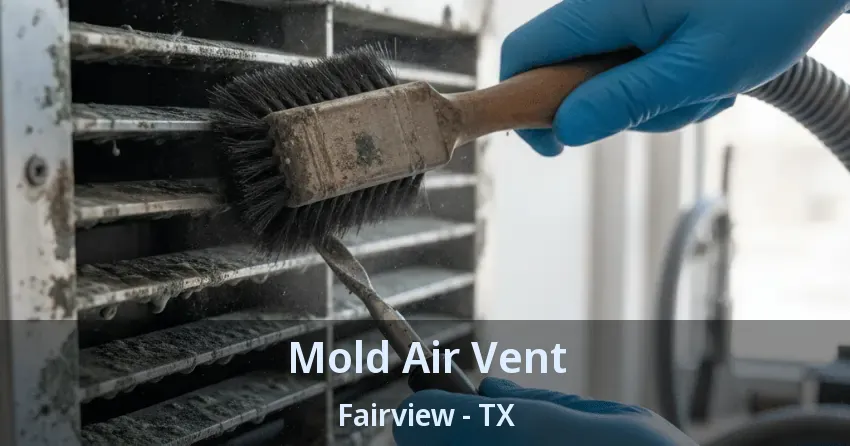 Mold Air Vent Fairview - TX Mold Air Vent Fairview - TX