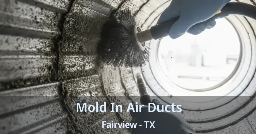 Mold In Air Ducts Fairview - TX