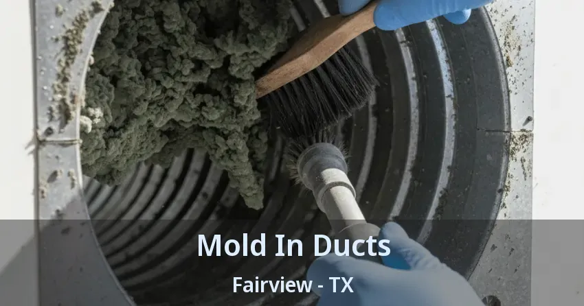 Mold In Ducts Fairview - TX