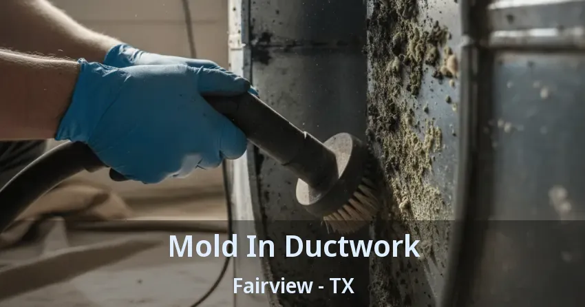 Mold In Ductwork Fairview - TX