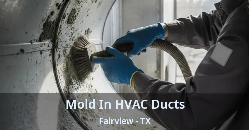 Mold In HVAC Ducts Fairview - TX