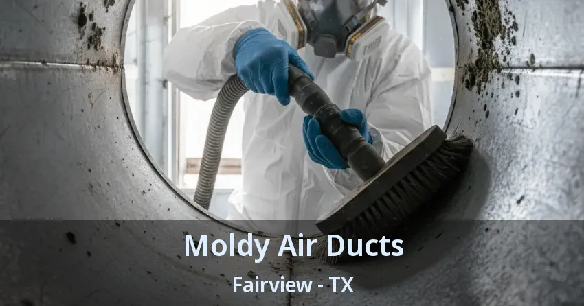 Moldy Air Ducts Fairview - TX